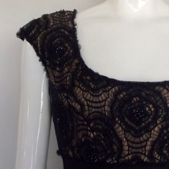 TADASHI Dress, 12, Blue/Tan lace, Bandage Skirt, Scoop neck, Cap sleeves - Picture 5 of 14